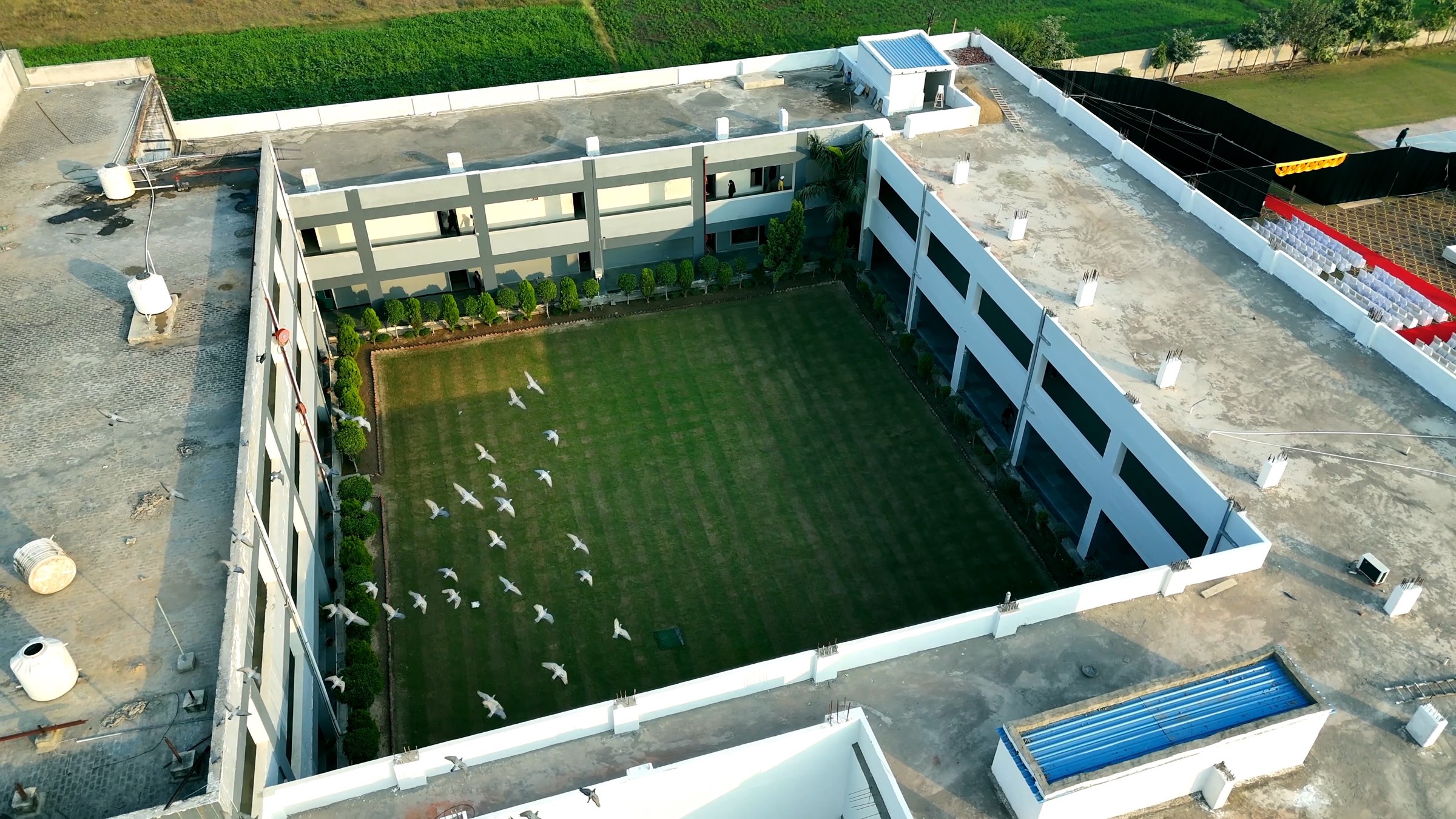 Birds flying over the green central courtyard of Skonis World School